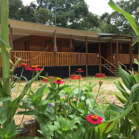 Hostal Cano Nevera La Macarena Exterior foto