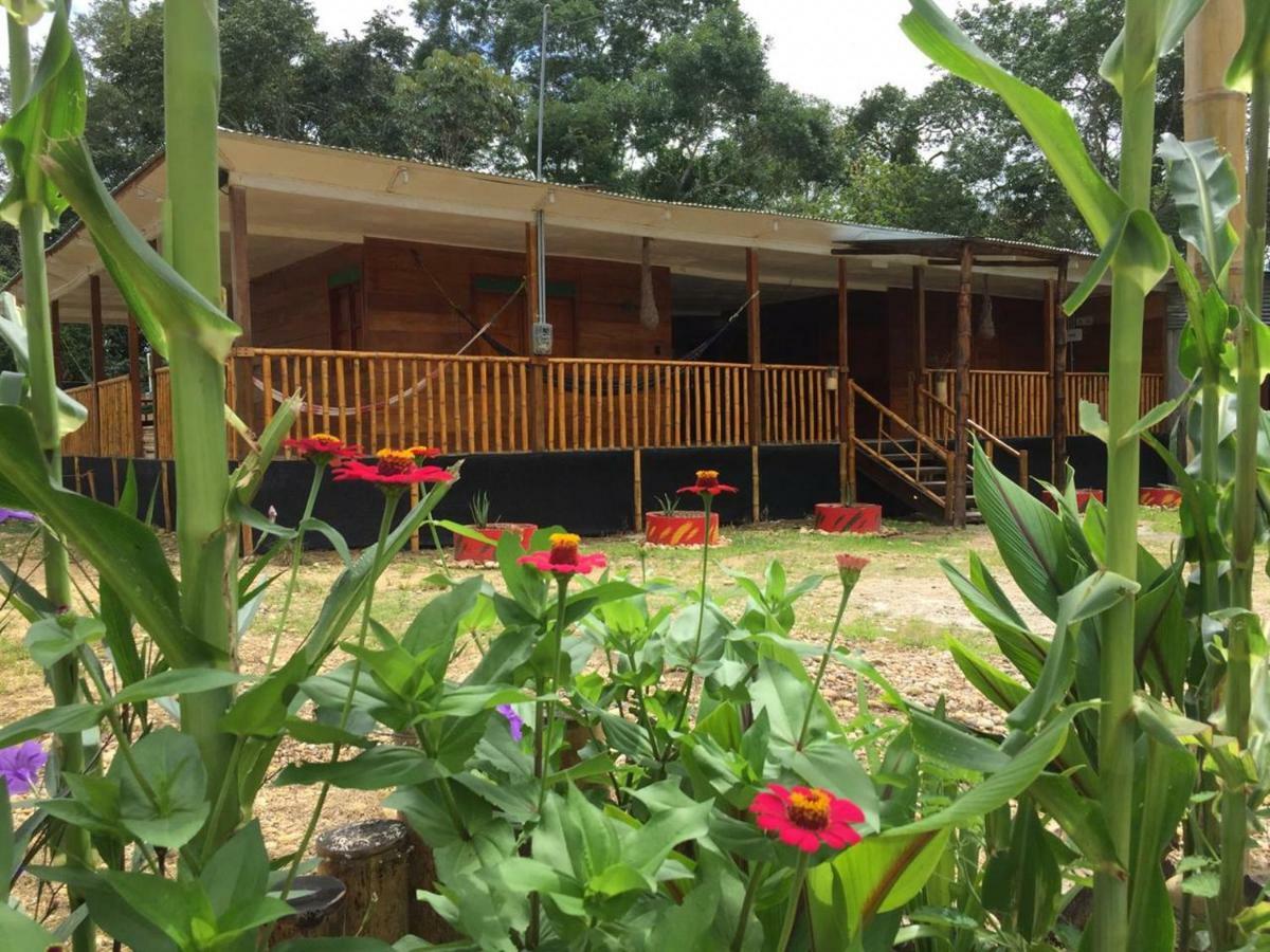 Hostal Cano Nevera La Macarena Exterior foto